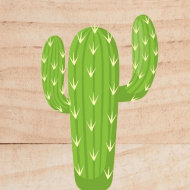 CACTUS NATURAL